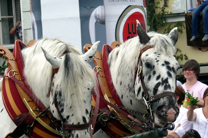 Landshuter Hochzeit 2009 - 020756.JPG